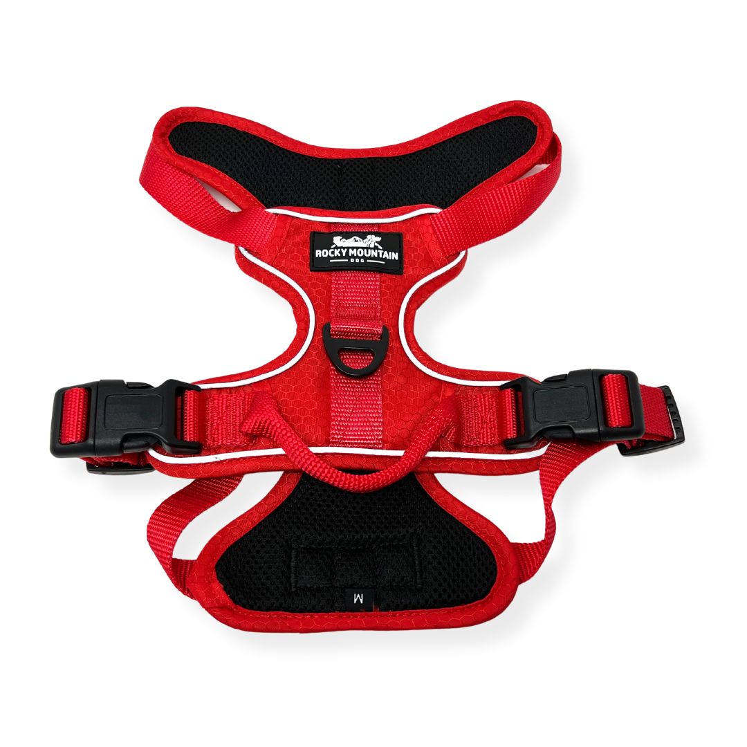 Rocky Mountain Dog Summit All|Terrain Dog 狗狗胸背帶 主產品圖