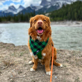 Rocky Mountain Dog Flannel 狗狗頭巾 主產品圖