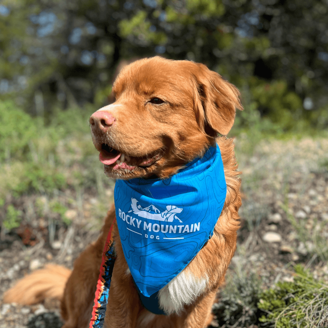 Rocky Mountain Dog RMD Bandana 狗狗用品 主產品圖