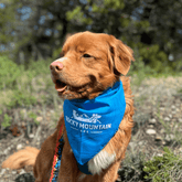Rocky Mountain Dog RMD Bandana 狗狗用品 主產品圖