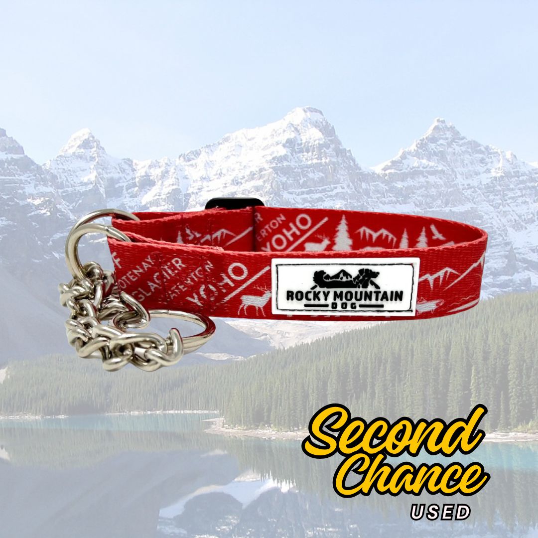 Rocky Mountain Dog (Used) Canadian Rockies Martingale Collar 狗狗用品 主產品圖