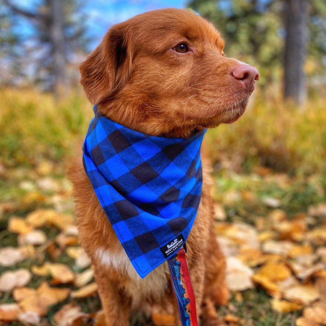 Rocky Mountain Dog Flannel 狗狗頭巾 產品細節圖 2