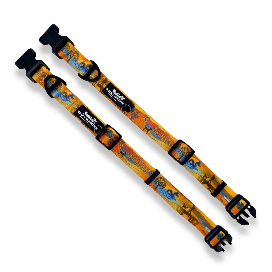 Rocky Mountain Dog Okanagan Alpine 狗頸圈 產品細節圖 2