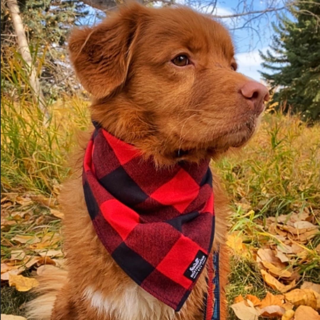Rocky Mountain Dog Flannel 狗狗頭巾 產品細節圖 3