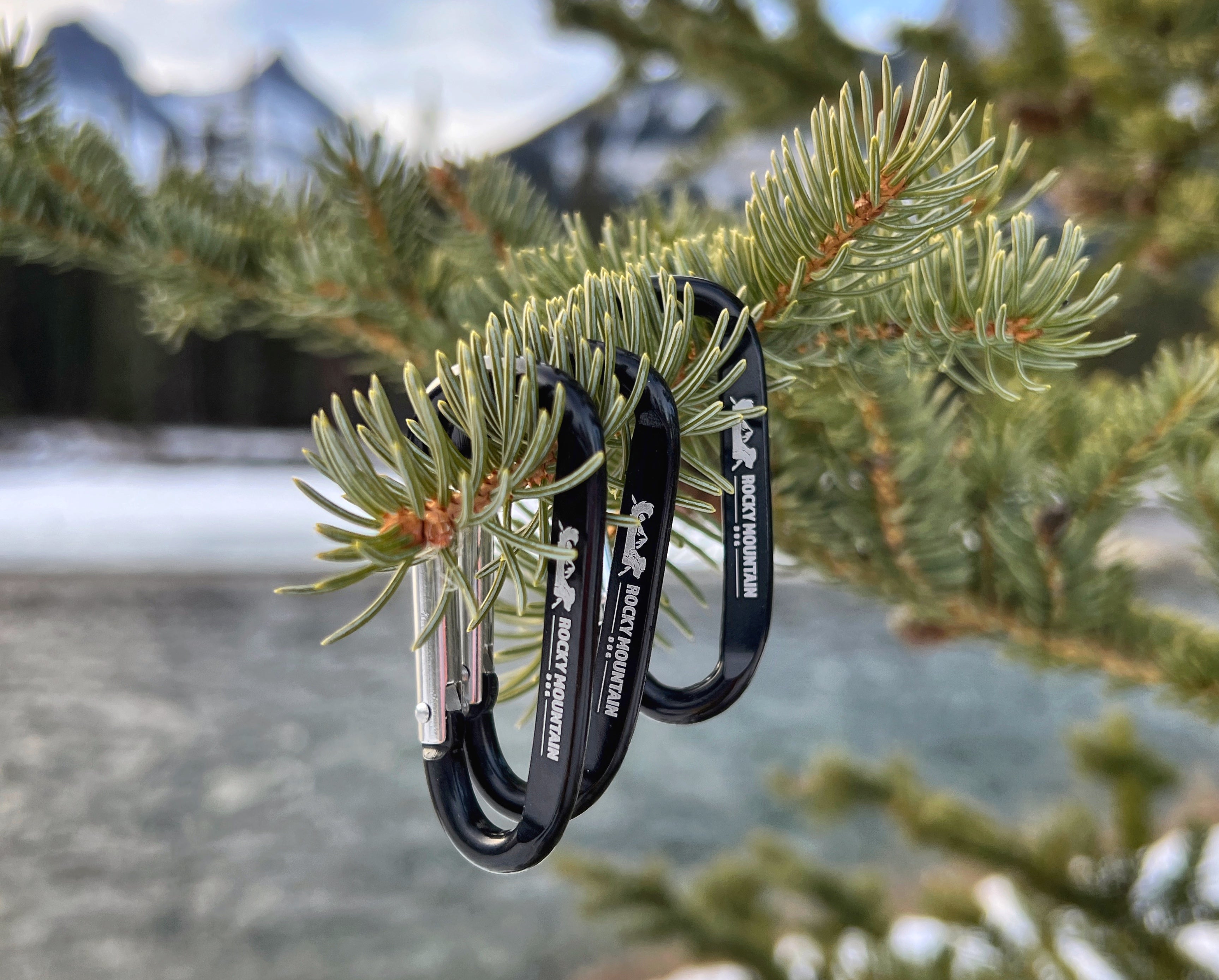 Rocky Mountain Dog RMD Mini Carabiner 狗狗用品 產品細節圖 4