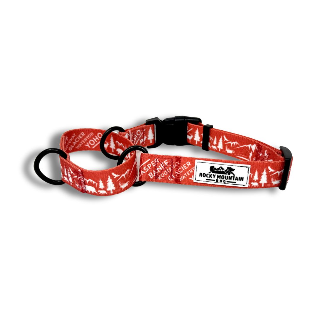 Rocky Mountain Dog Canadian Rockies Martingale Clip Collar 狗狗用品 產品細節圖 4