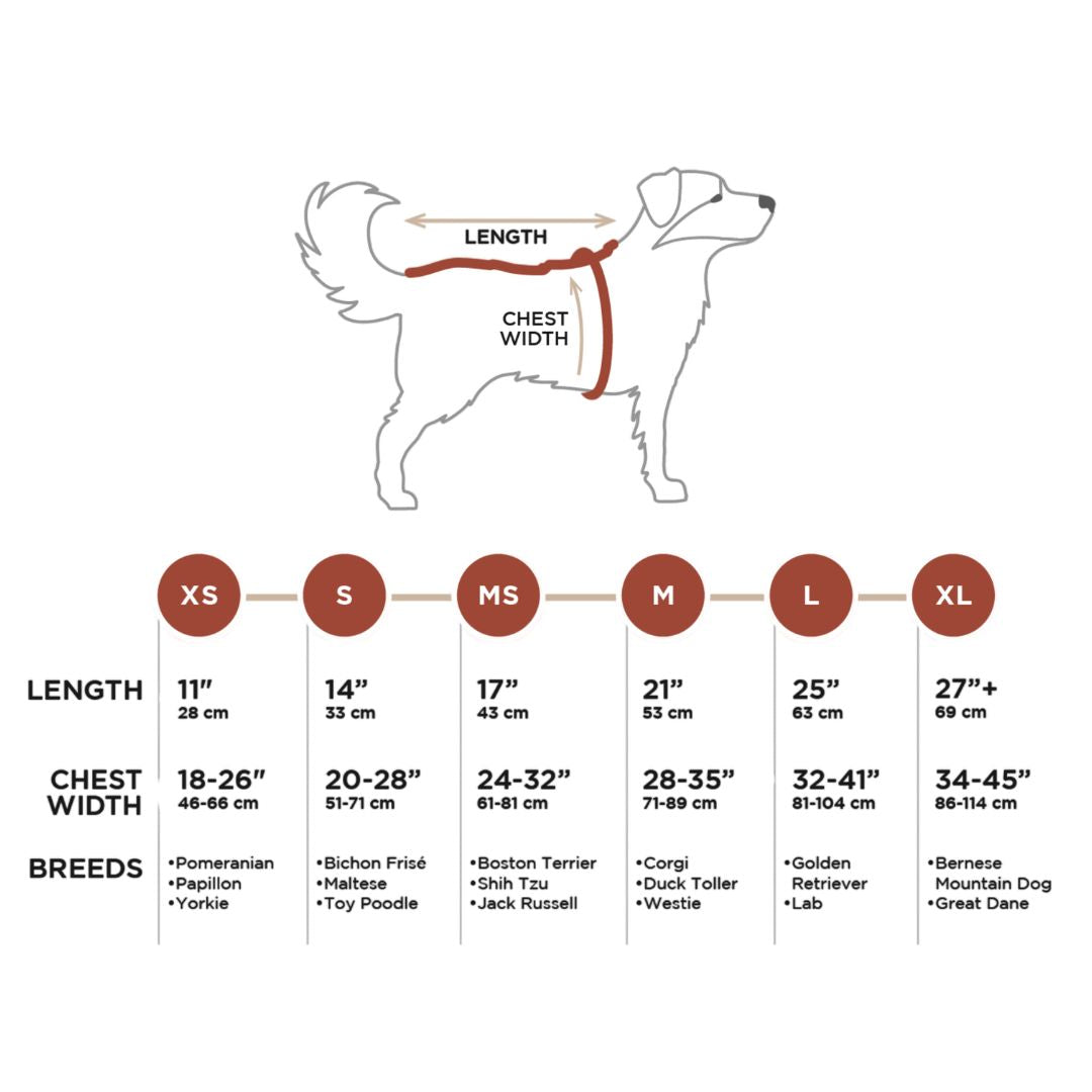 Rocky Mountain Dog Tofino Rain Jacket 狗狗用品 產品細節圖 4