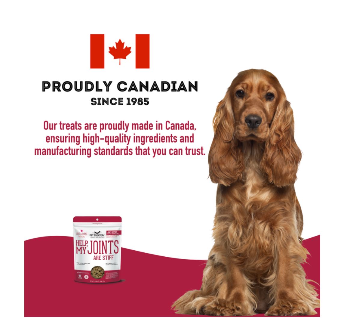 Rocky Mountain Dog Help, My Joints Are Stiff|Soft & Chewy Dog Supplement 狗狗用品 產品細節圖 4