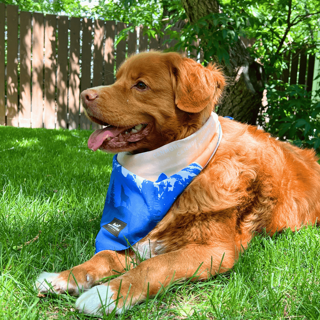 Rocky Mountain Dog Canmore Three Sisters Bandana 狗狗用品 產品細節圖 4