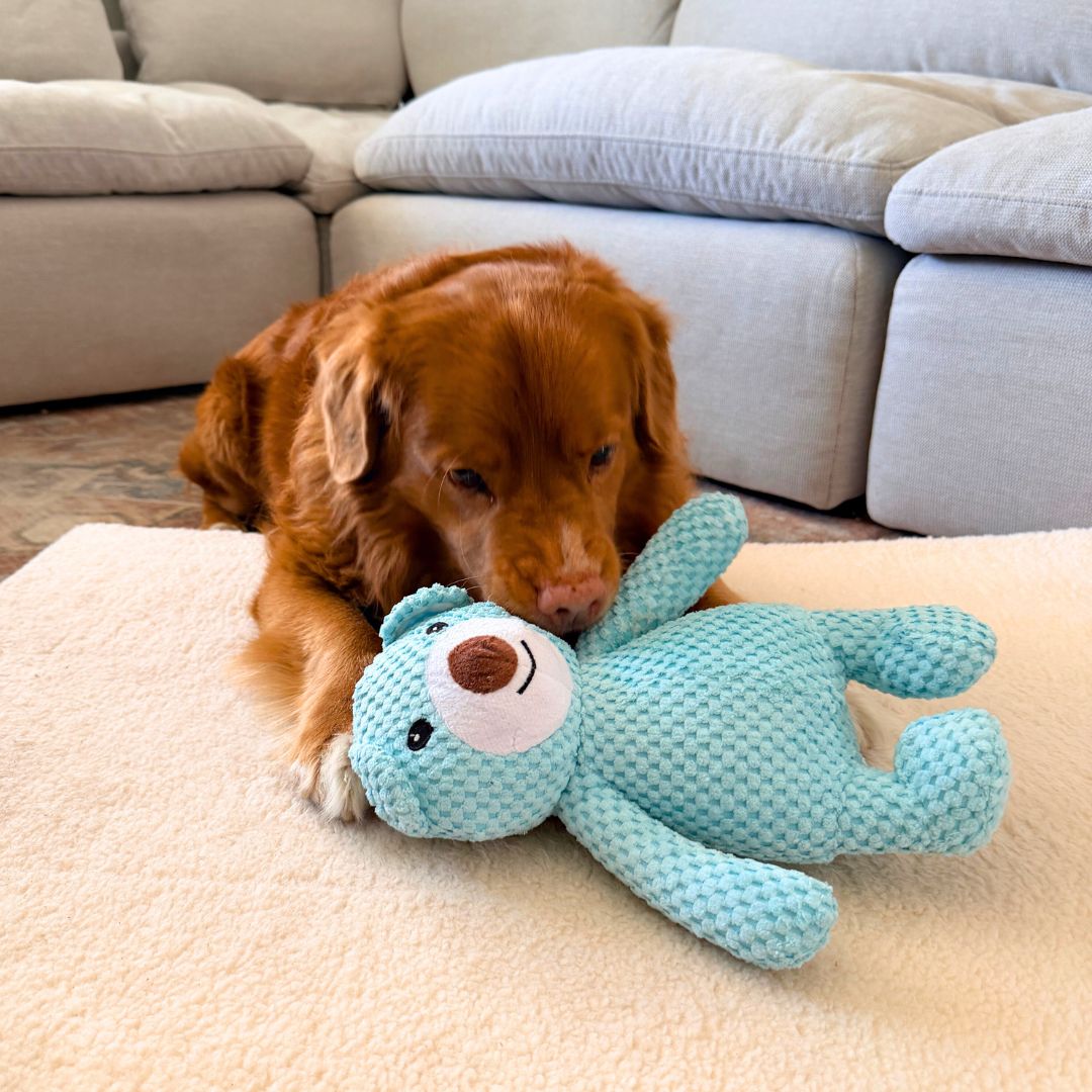 Rocky Mountain Dog Big Bear Plush 狗狗玩具 產品細節圖 4