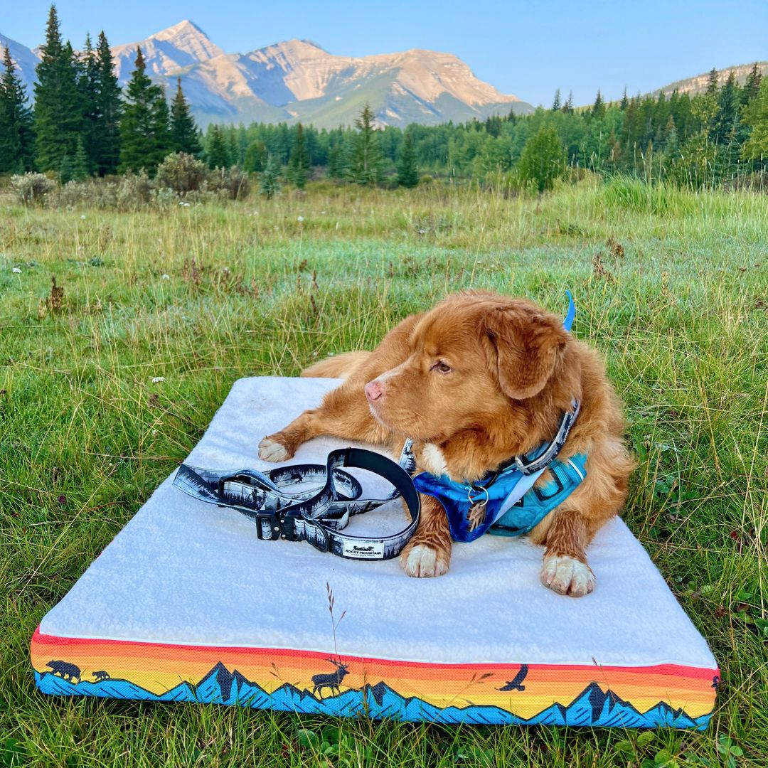 Rocky Mountain Dog Banff 狗床 產品細節圖 5