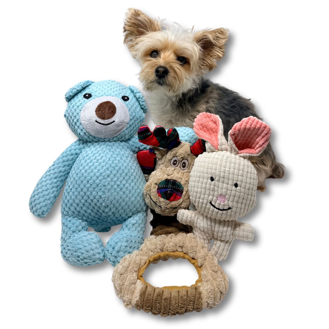 Rocky Mountain Dog Big Bear Plush 狗狗玩具 產品細節圖 5