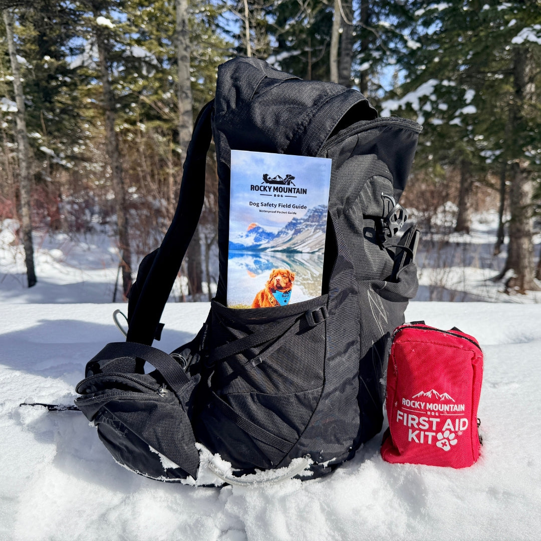 Rocky Mountain Dog Dog Safety 急救 Field Guide 產品細節圖 5