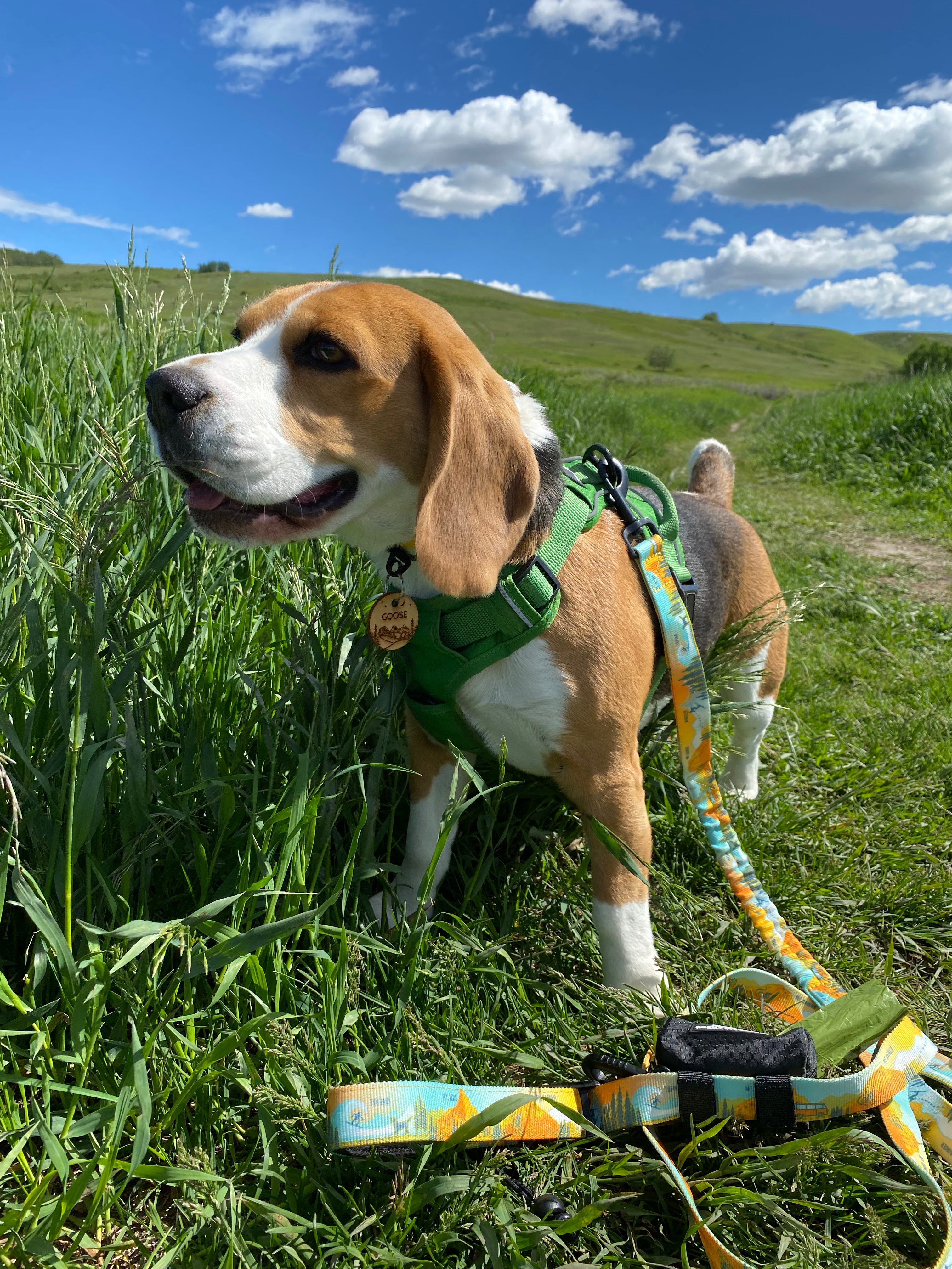 Rocky Mountain Dog The Bugaboo 狗便袋 Dispenser 產品細節圖 6