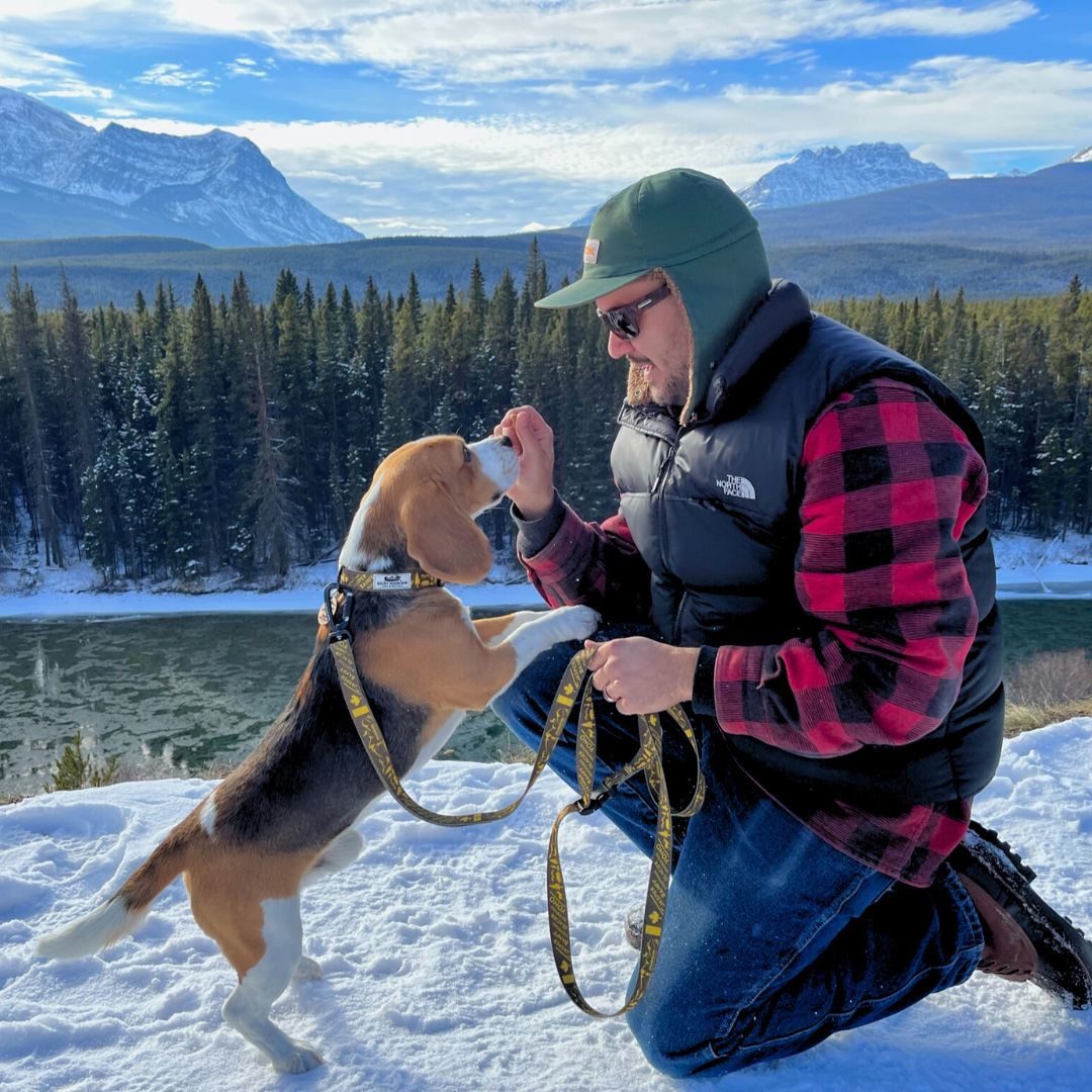 Rocky Mountain Dog Canadian Rockies 狗頸圈s 產品細節圖 7