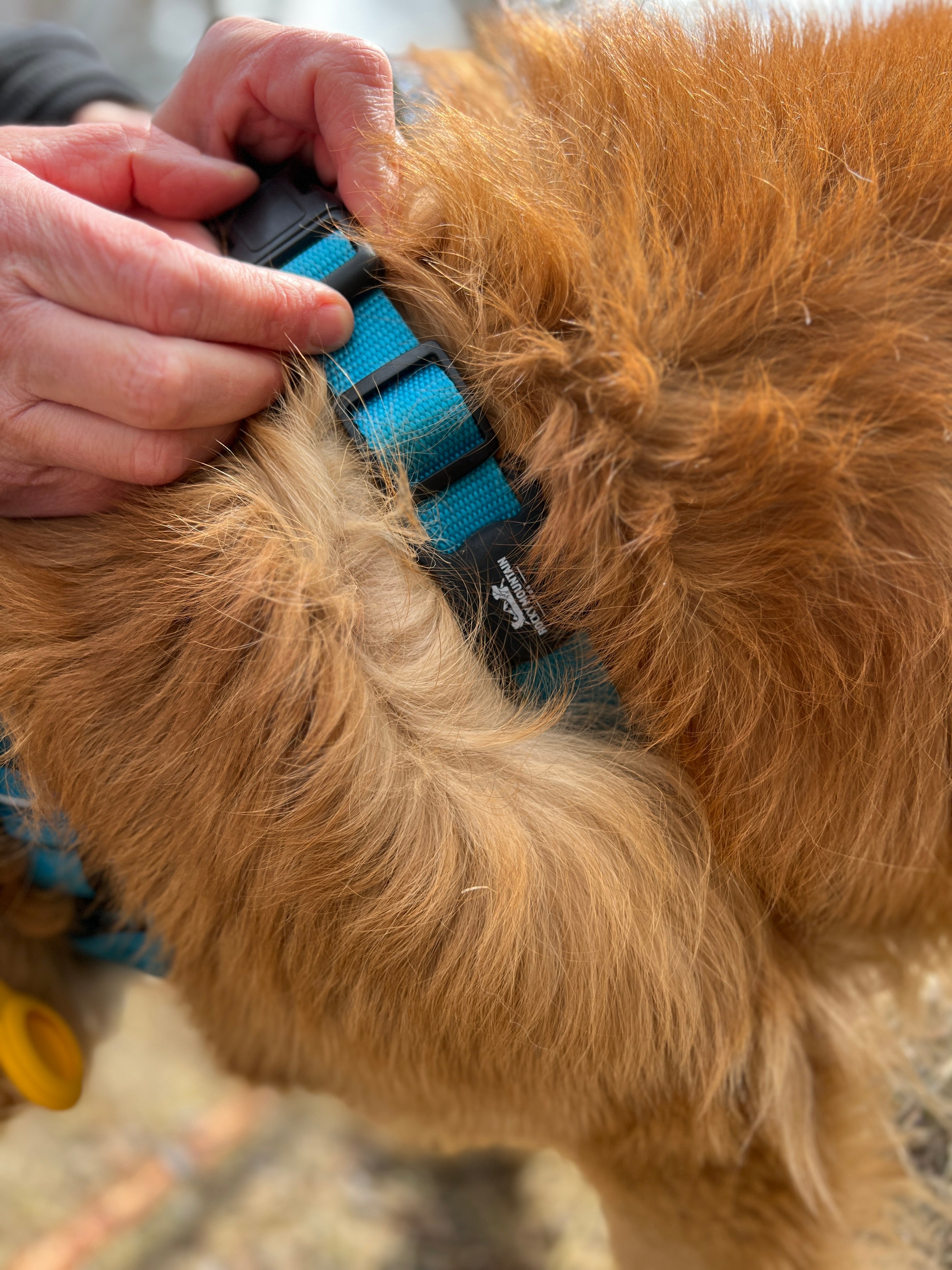 Rocky Mountain Dog RMD AirTag Holder 狗狗用品 產品細節圖 10