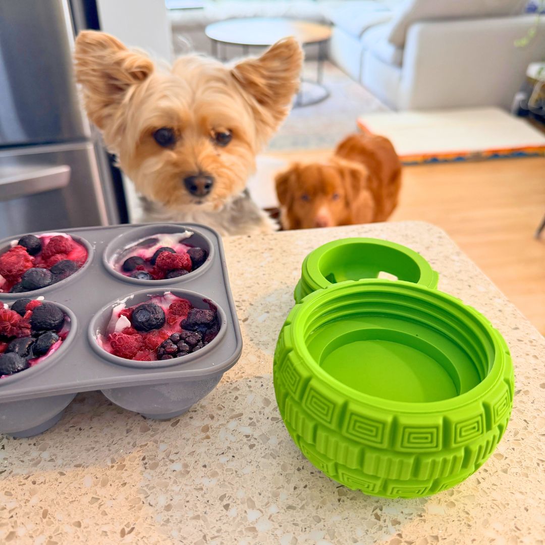 Rocky Mountain Dog The Sphere Interactive Frozen Treat Toy 狗狗用品 產品細節圖 10