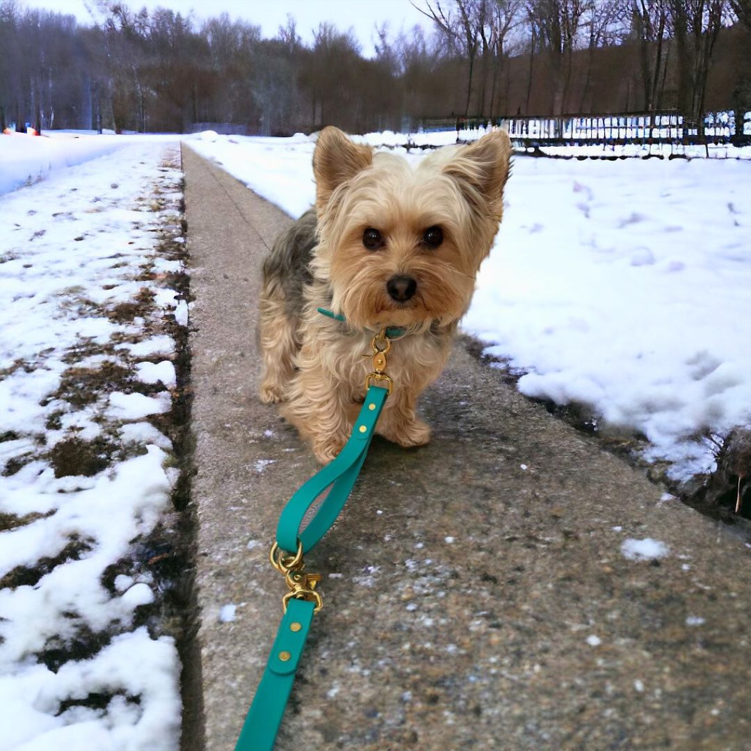 Rocky Mountain Dog Biothane Dog Grab Handle 狗狗用品 產品細節圖 12