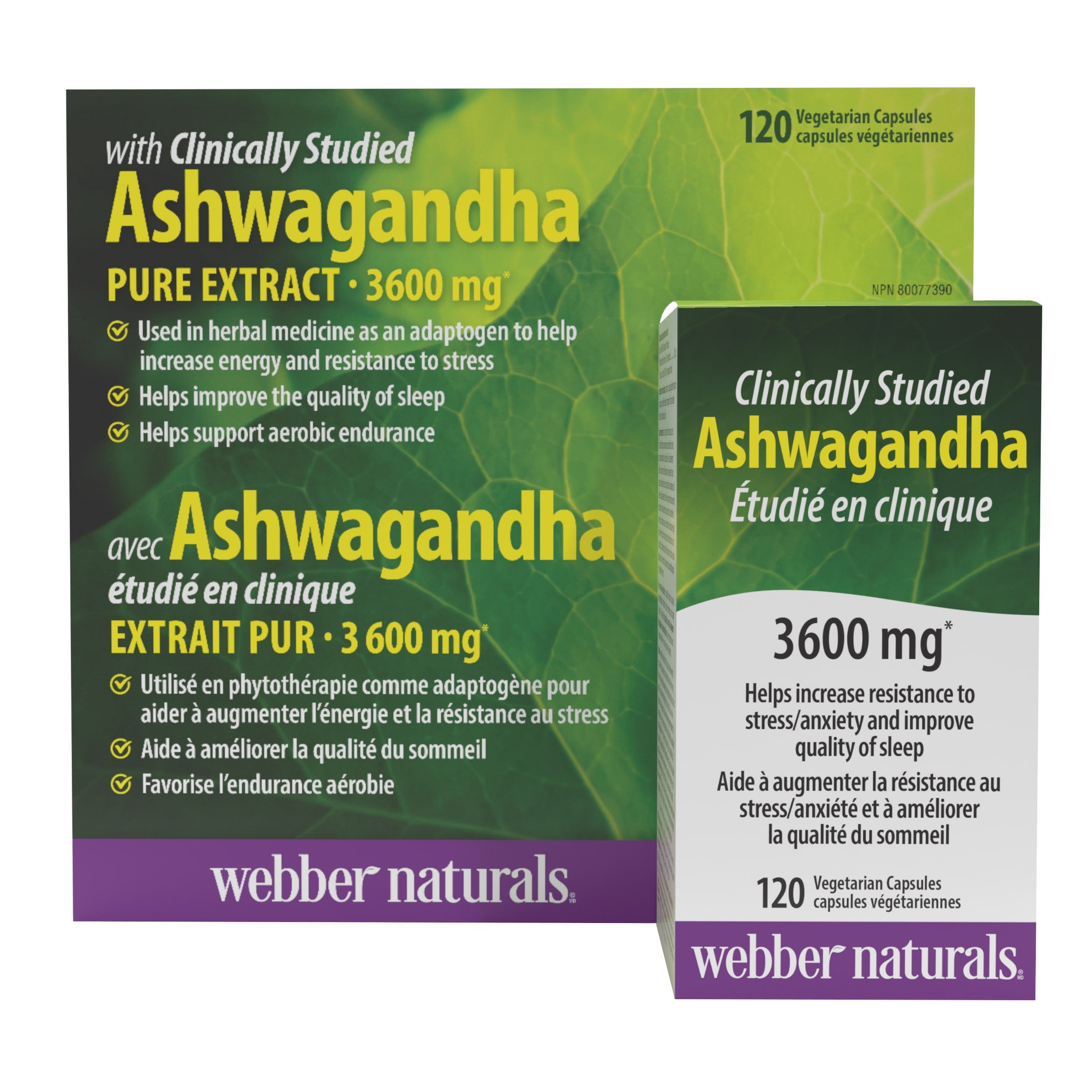 Webber Naturals 南非醉茄 3600mg 素食膠囊 (120粒 x 2樽) 產品圖片 3