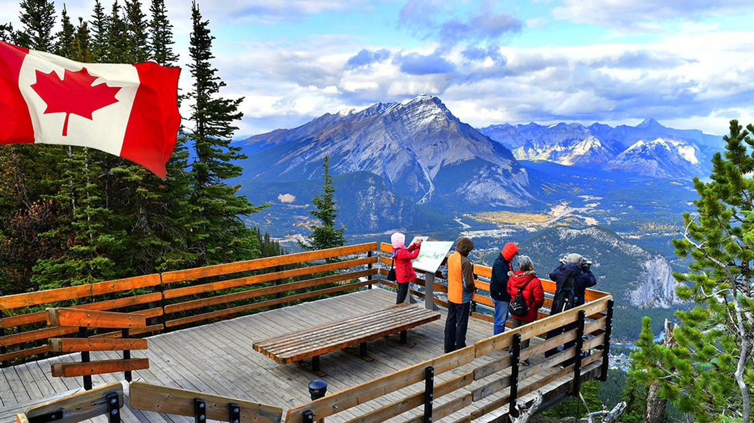 揭秘香港保健品市場的「信任危機」：為何加拿大 NPN 認證標準成為家庭健康管理的唯一「精明之選」？