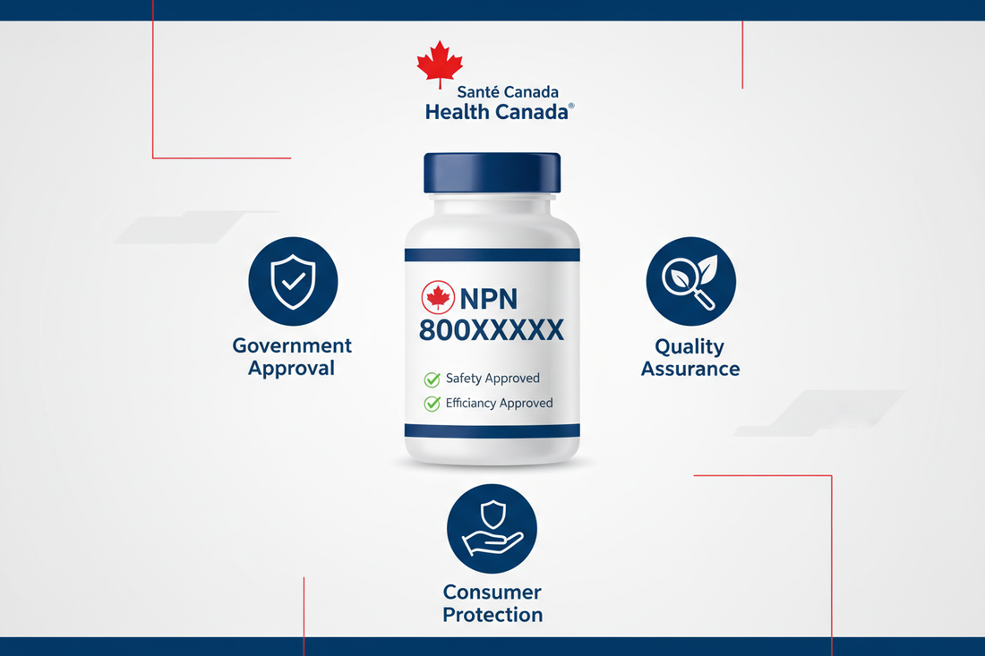 【加拿大保健品全攻略】香港人必睇：認準 NPN 八位數，教你避開「影射產品」坑！