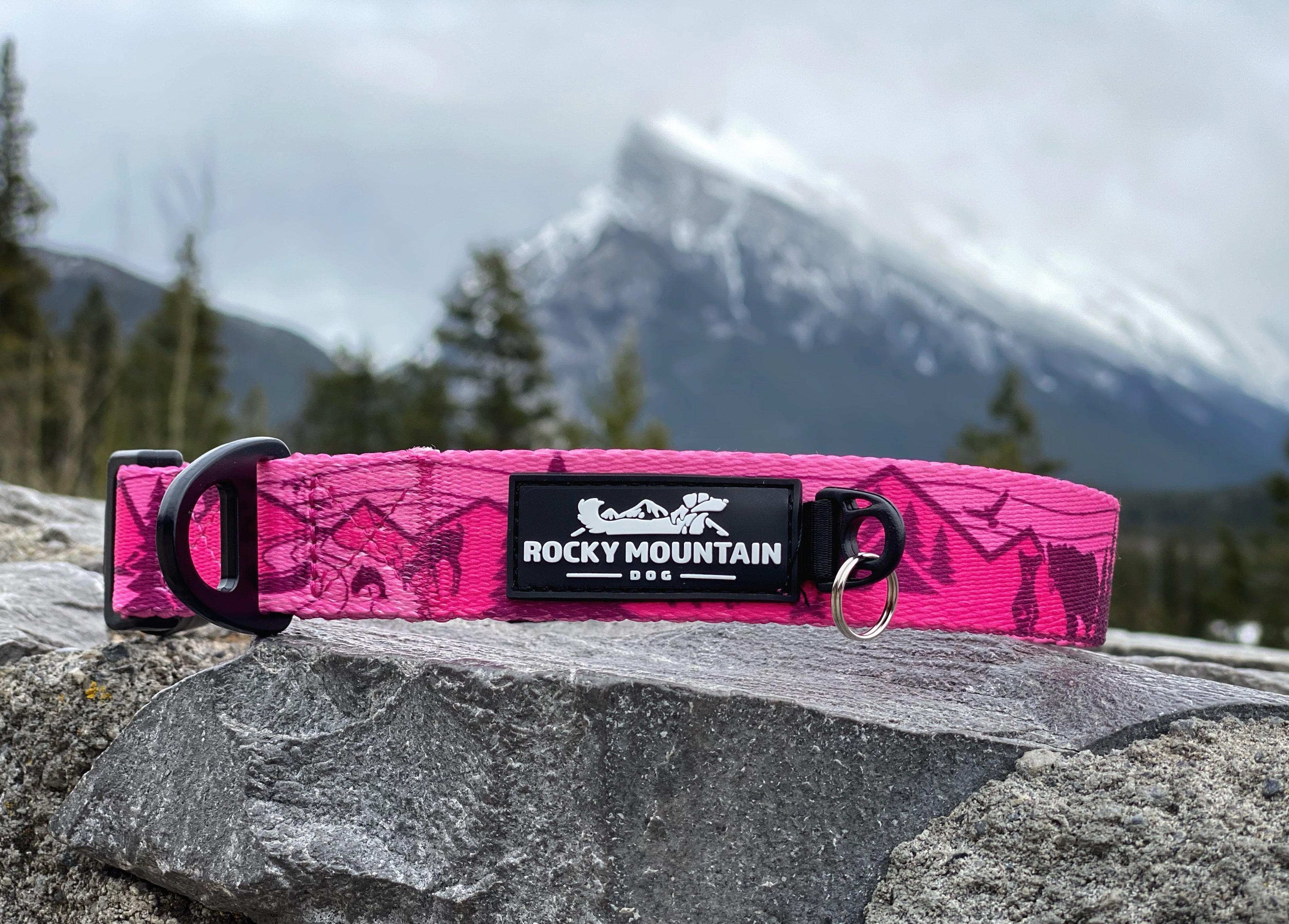 Rocky Mountain Dog Cascade Alpine 狗頸圈 主產品圖