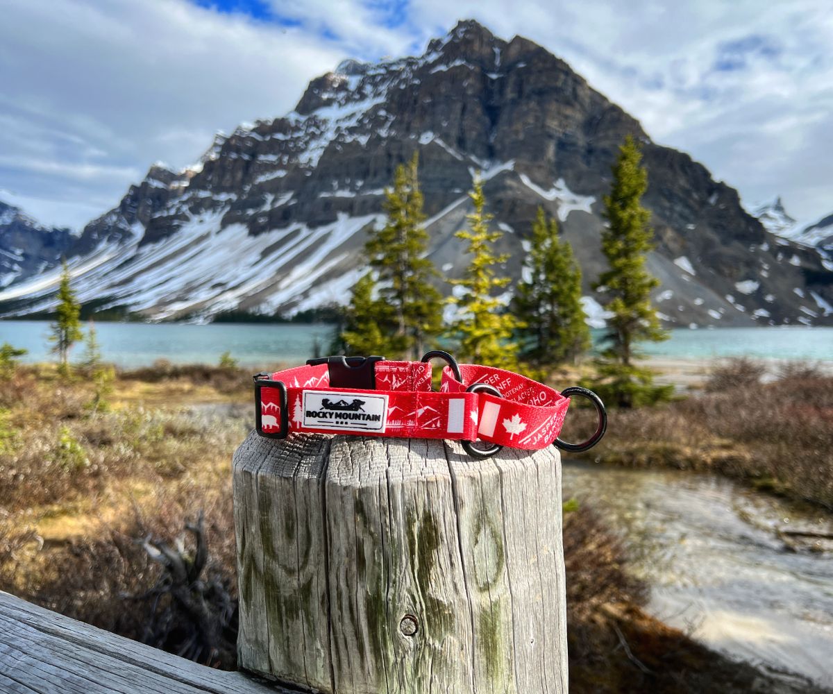 Rocky Mountain Dog Canadian Rockies Martingale Clip Collar 狗狗用品 主產品圖