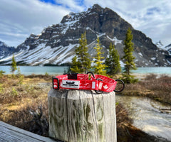 Rocky Mountain Dog Canadian Rockies Martingale Clip Collar 狗狗用品 主產品圖