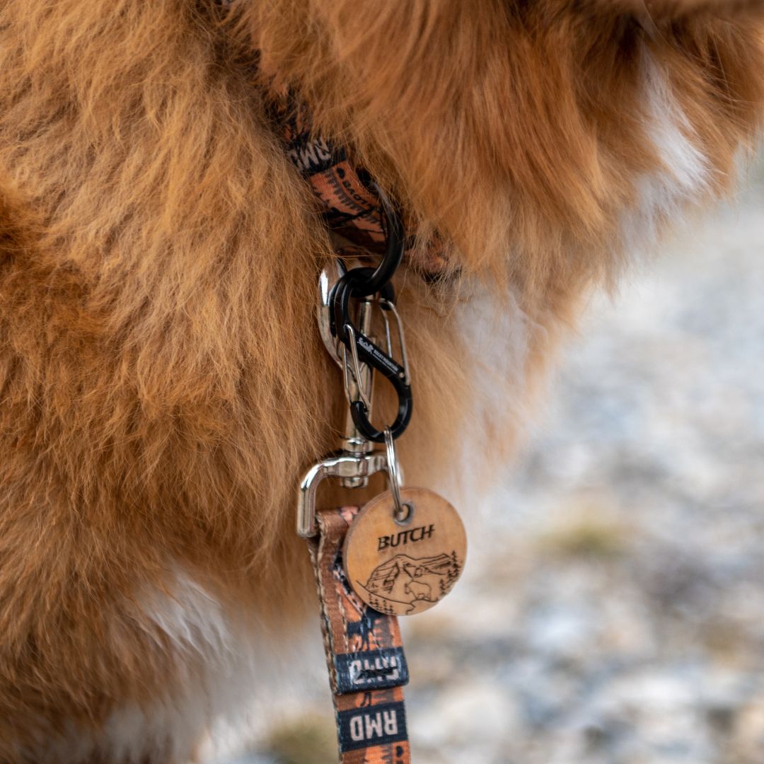 Rocky Mountain Dog RMD S｜Carabiner 狗狗用品 主產品圖