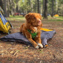 Rocky Mountain Dog Yukon Dog Sleeping Bag 狗狗用品 主產品圖