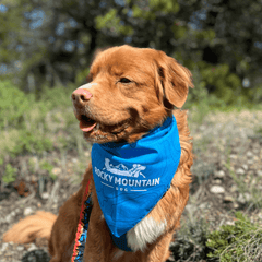 Rocky Mountain Dog RMD Bandana 狗狗用品 主產品圖