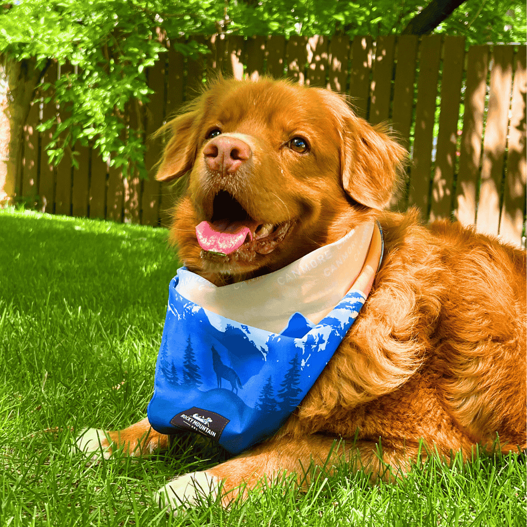 Rocky Mountain Dog Canmore Three Sisters Bandana 狗狗用品 主產品圖