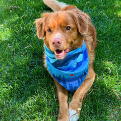 Rocky Mountain Dog Kootenay Bandana 狗狗用品 主產品圖