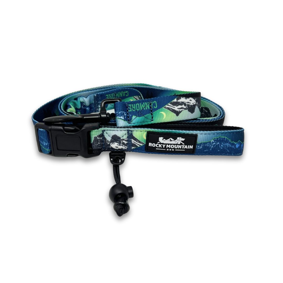 Rocky Mountain Dog V2 Canmore All Mountain 狗帶 主產品圖