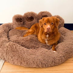 Rocky Mountain Dog Bigfoot 狗床 主產品圖