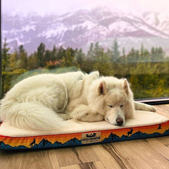 Rocky Mountain Dog Banff 狗床 主產品圖