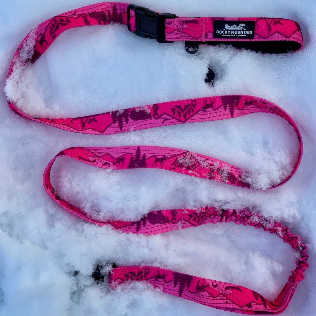 Rocky Mountain Dog Cascade All Mountain 狗帶 主產品圖