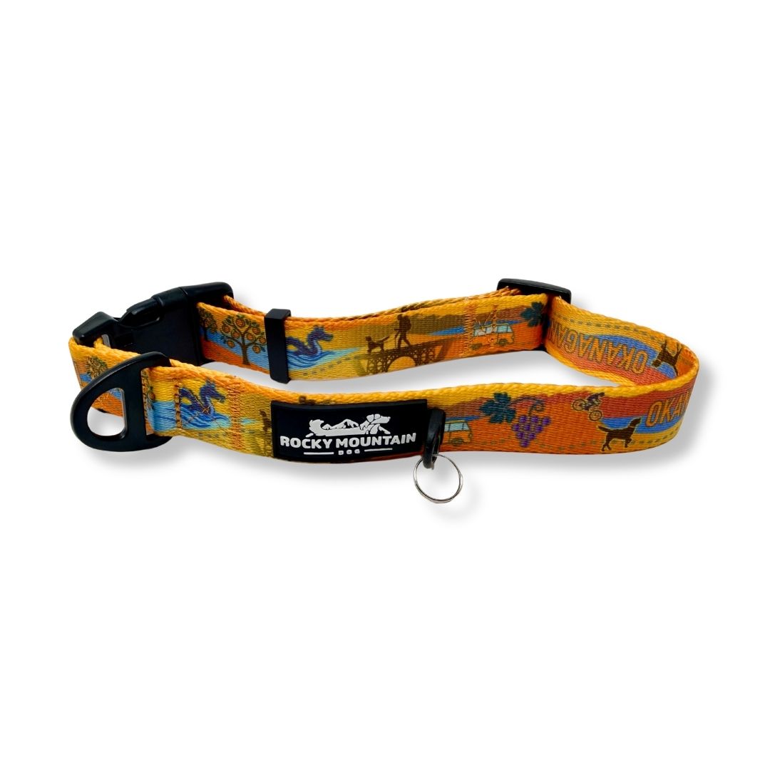 Rocky Mountain Dog Okanagan Alpine 狗頸圈 主產品圖