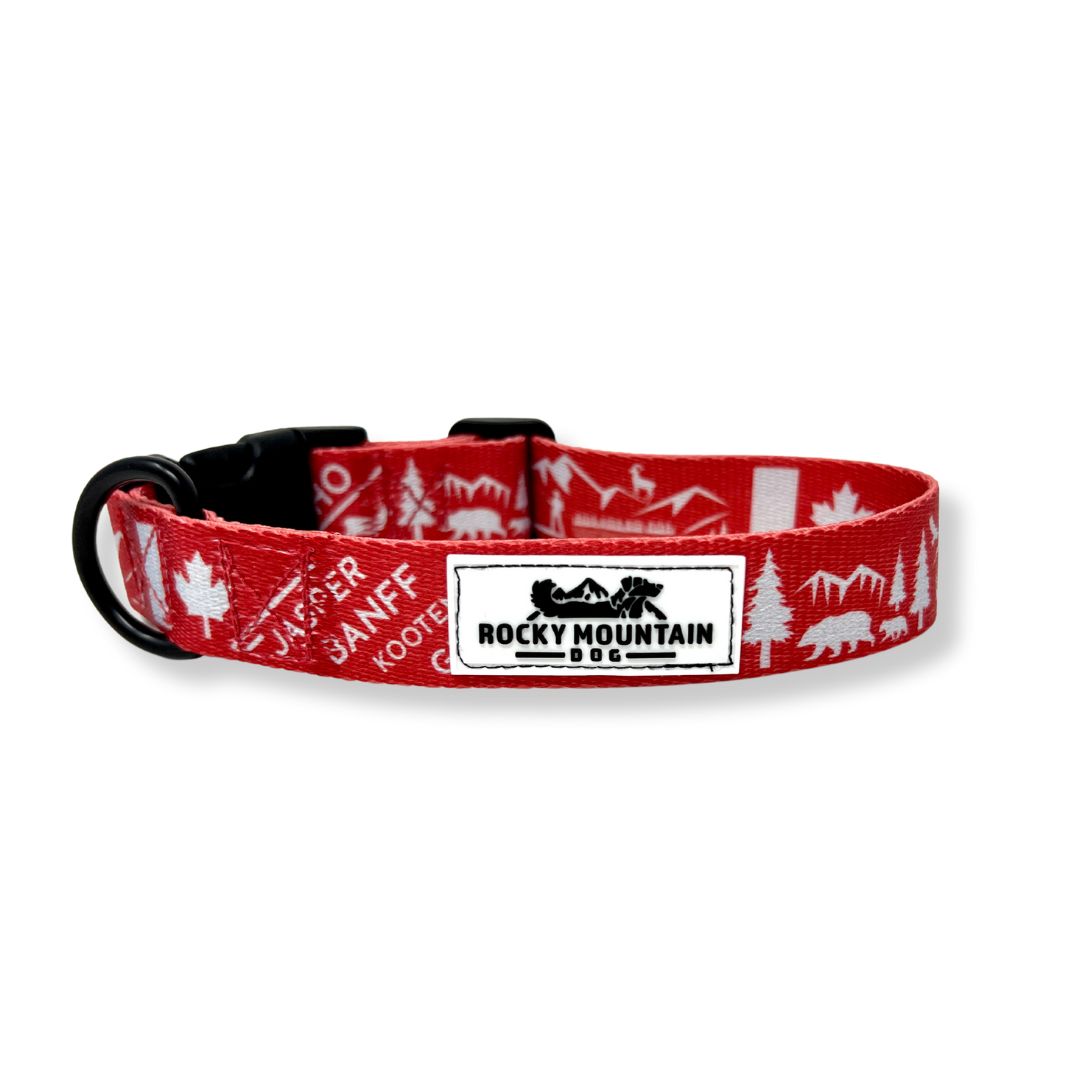 Rocky Mountain Dog Canadian Rockies 狗頸圈s 產品細節圖 2