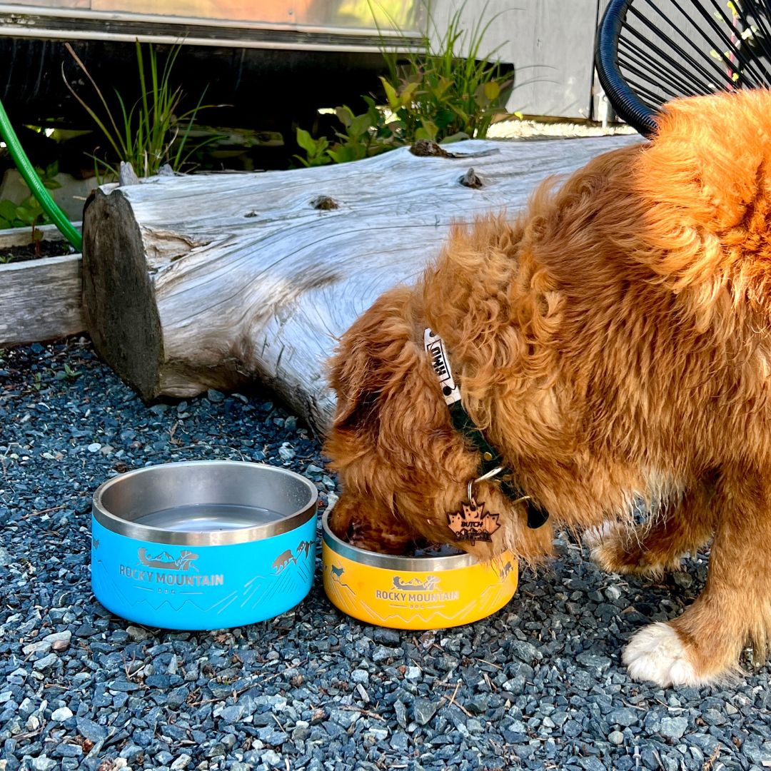 Rocky Mountain Dog Rocky Mountain 狗碗 產品細節圖 2