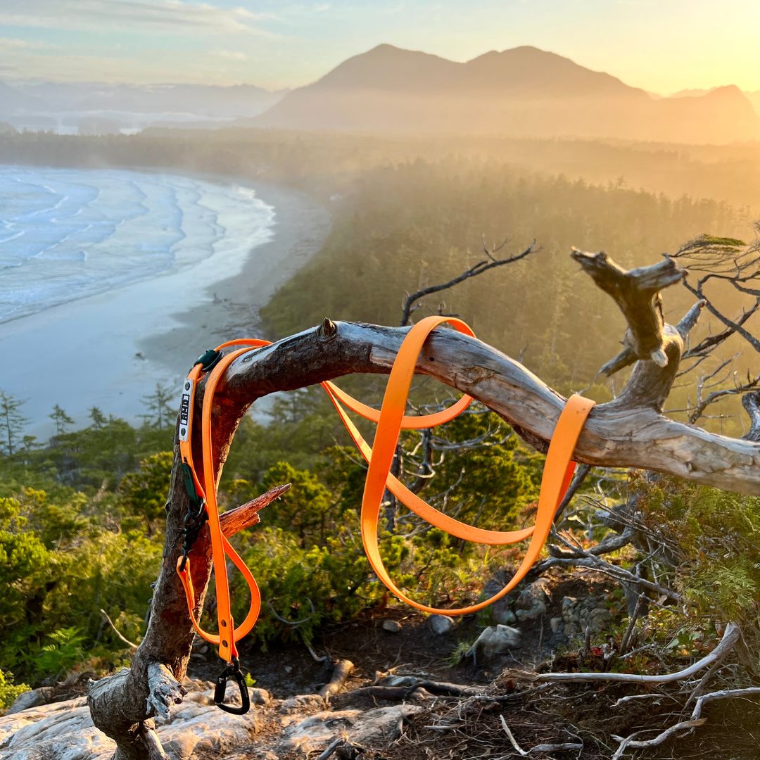Rocky Mountain Dog Hands｜Free Biothane Waterproof 狗帶es｜Swivel Carabiner 產品細節圖 2