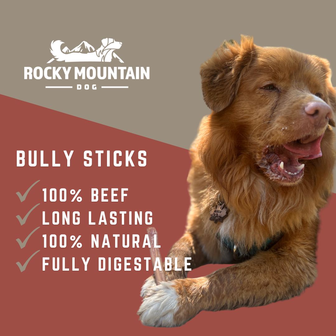 Rocky Mountain Dog Six Inch Standard Bully Sticks 狗狗用品 產品細節圖 2