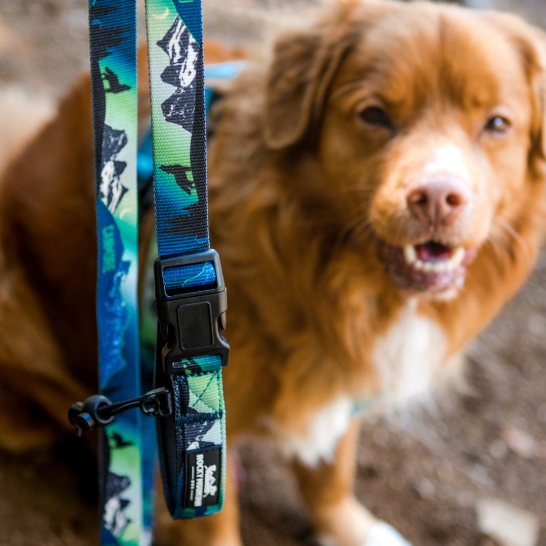 Rocky Mountain Dog V2 Canmore All Mountain 狗帶 產品細節圖 2