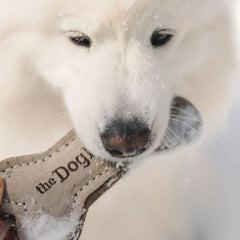 Rocky Mountain Dog Dog Bone Toy 狗狗用品 產品細節圖 2