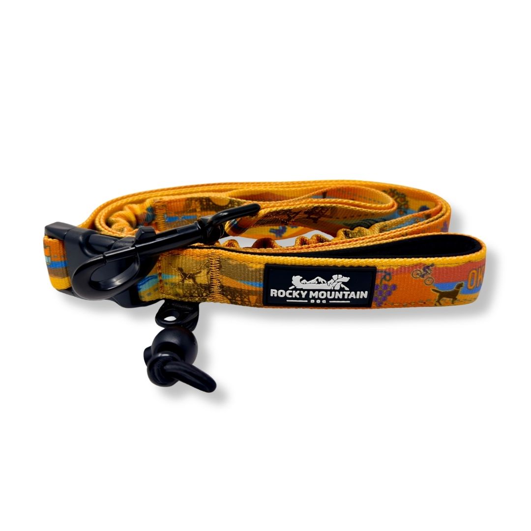Rocky Mountain Dog Okanagan All Mountain 狗帶 產品細節圖 2