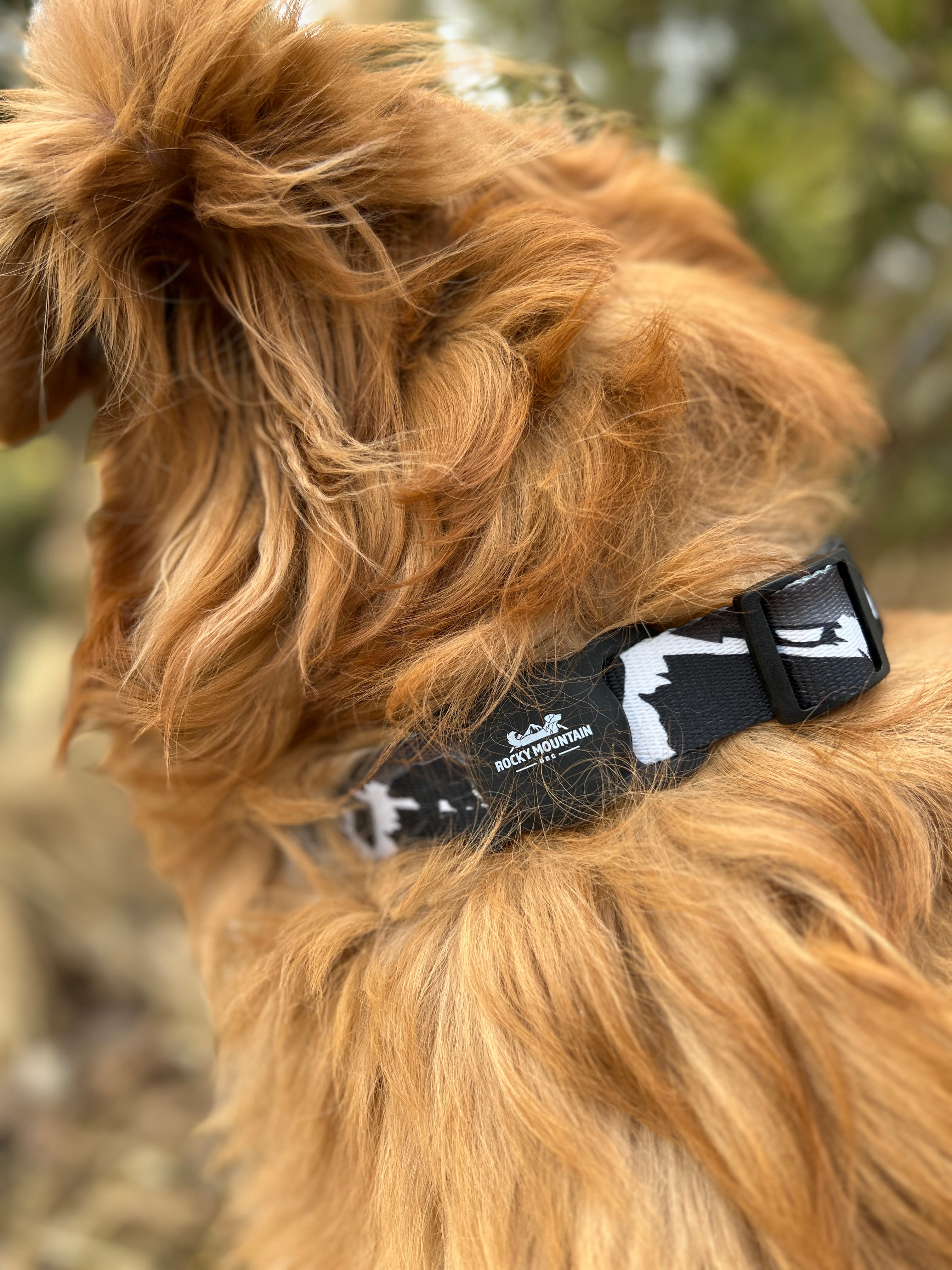 Rocky Mountain Dog RMD AirTag Holder 狗狗用品 產品細節圖 3