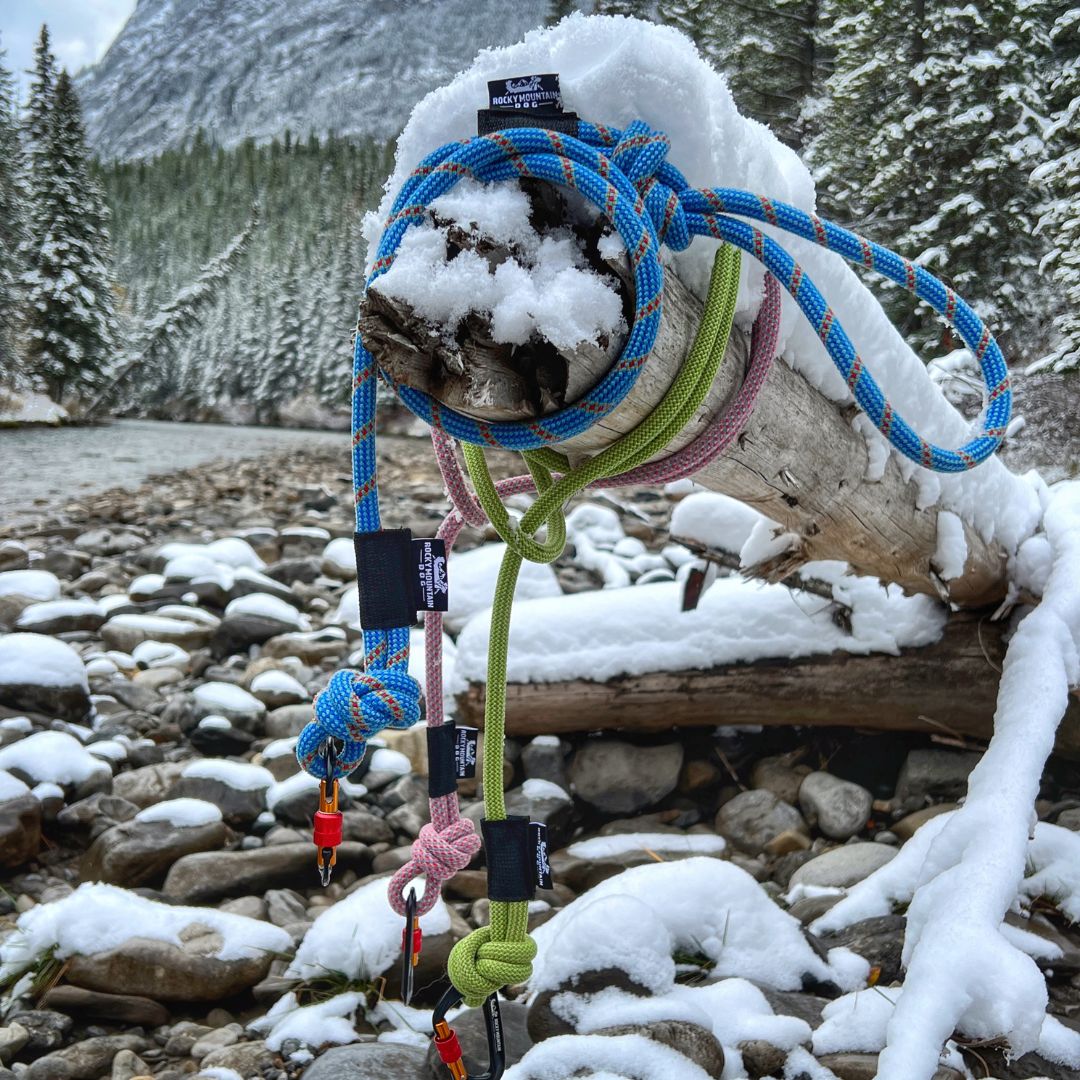 Rocky Mountain Dog Squamish Eco｜Friendly Dog Rope 狗帶 產品細節圖 3