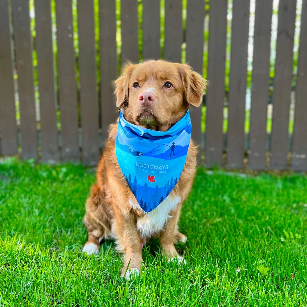 Rocky Mountain Dog Kootenay Bandana 狗狗用品 產品細節圖 3