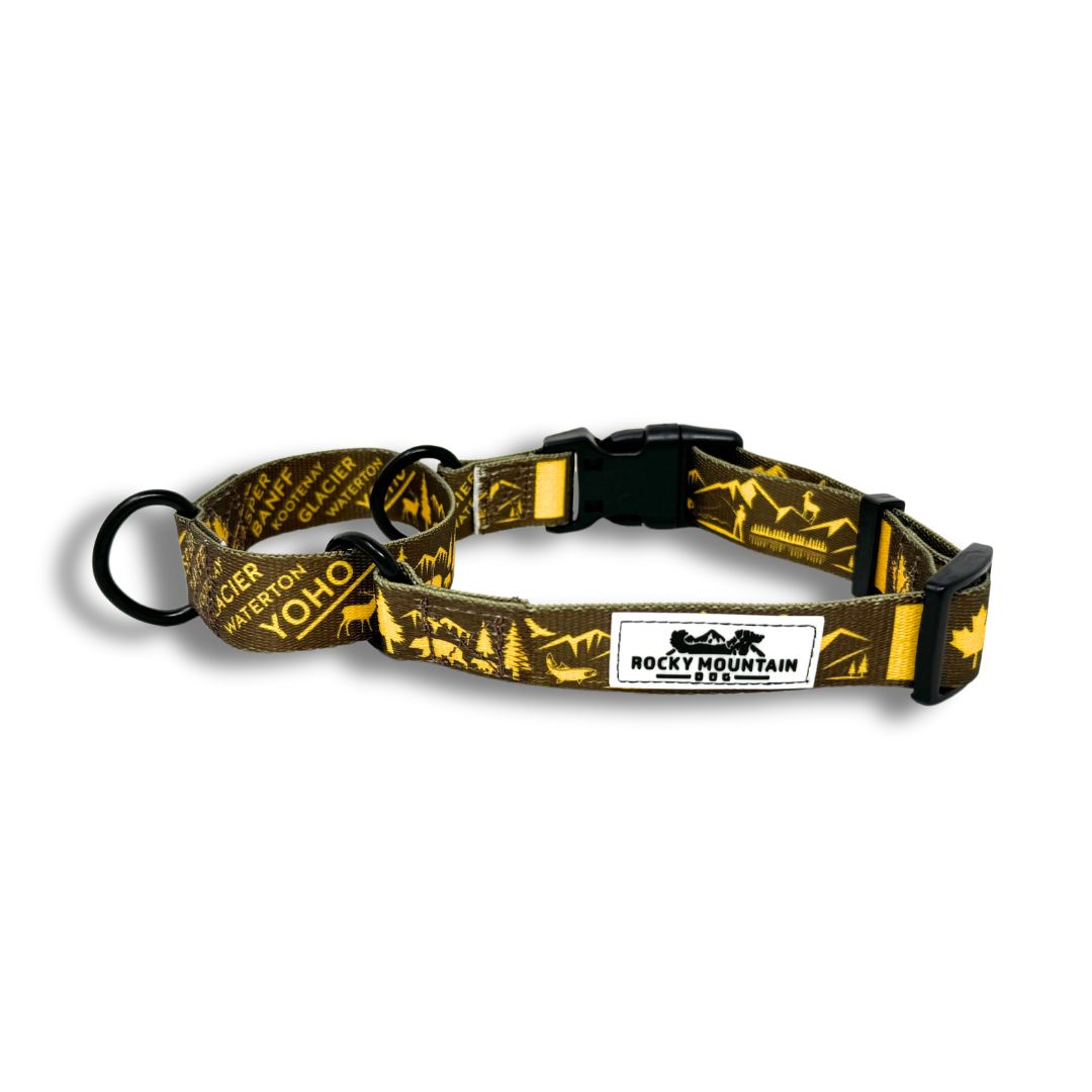Rocky Mountain Dog Canadian Rockies Martingale Clip Collar 狗狗用品 產品細節圖 3