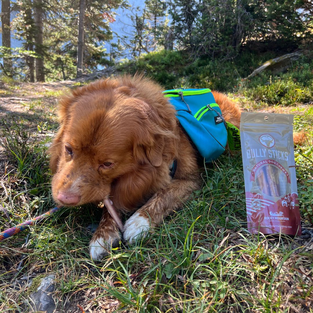 Rocky Mountain Dog Six Inch Standard Bully Sticks 狗狗用品 產品細節圖 3